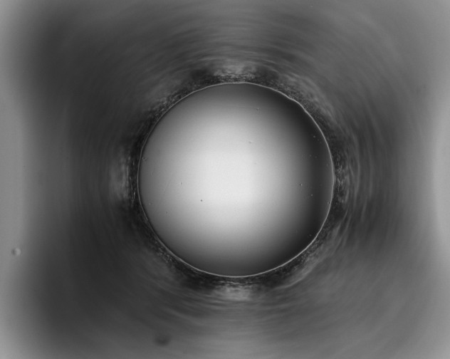 X0000096140416200801181137