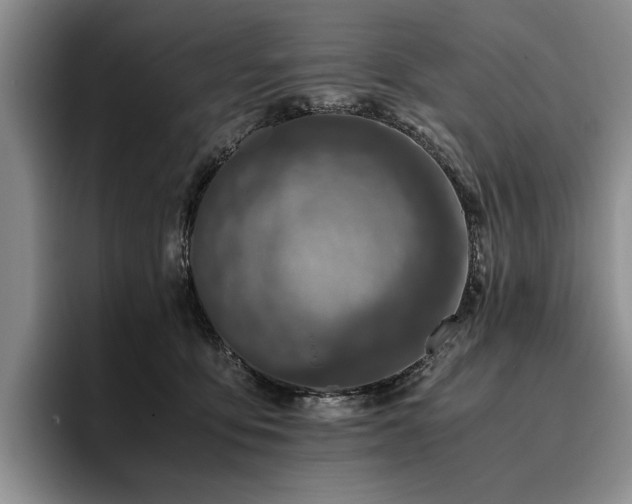 X0000096140419200801181137