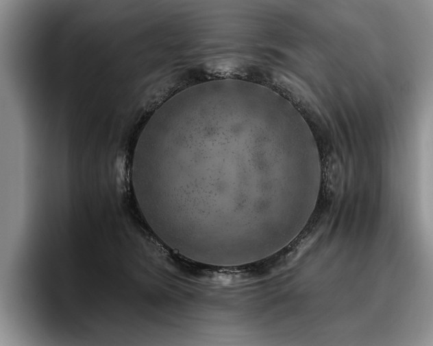 X0000096140420200801181137