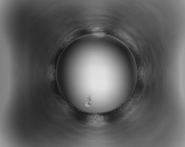 X0000096140421200801181136
