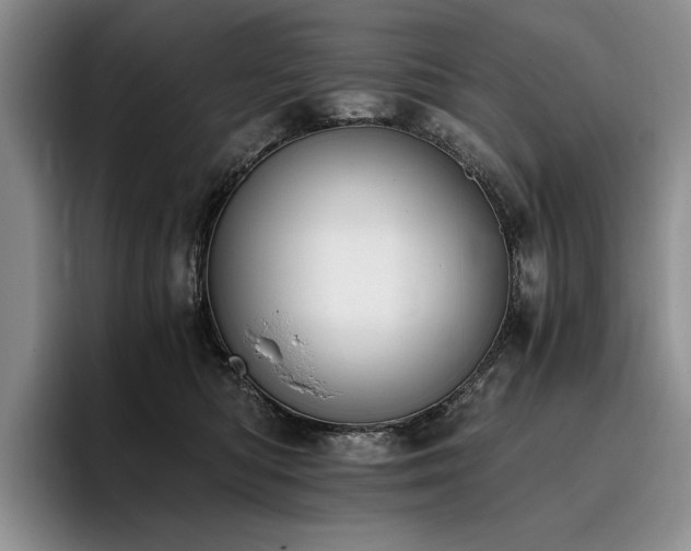 X0000096140422200801181136
