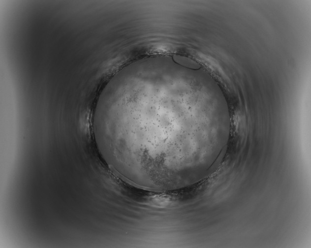 X0000096140423200801181136