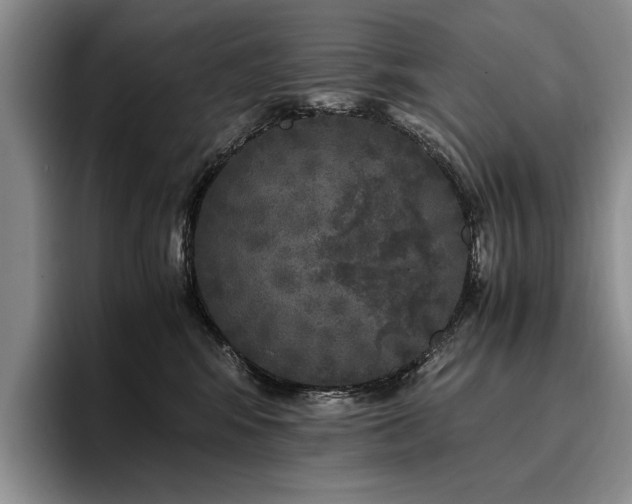 X0000096140424200801181136