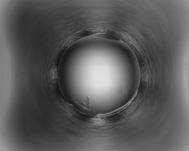 X0000096140425200801181136