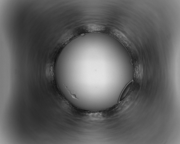 X0000096140426200801181136