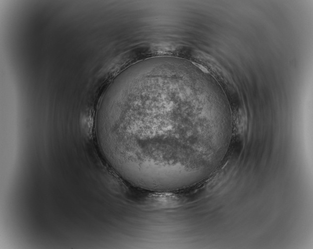 X0000096140427200801181136