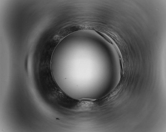X0000096140429200801181136