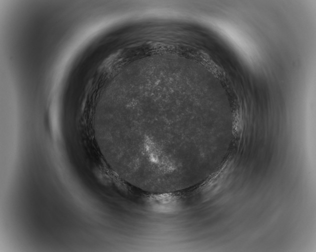 X0000096140431200801181136