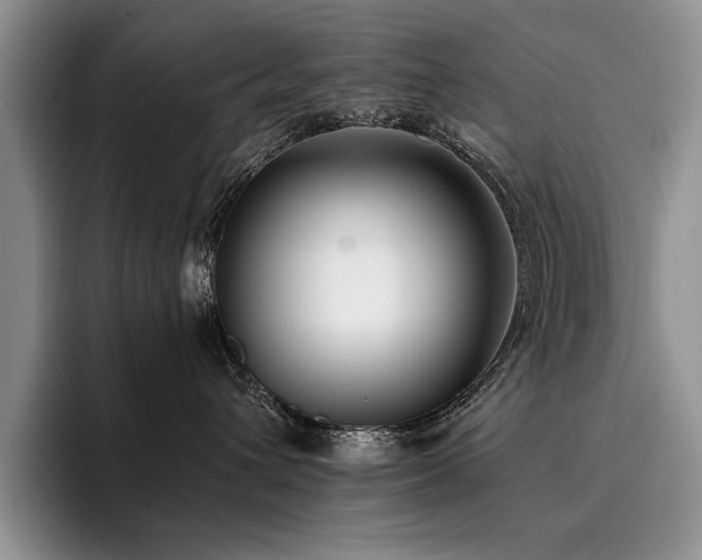 X0000096140432200801181136