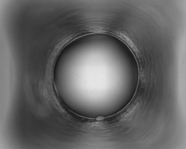 X0000096140433200801181136