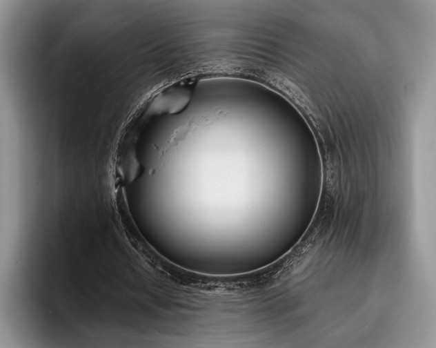 X0000096140434200801181136