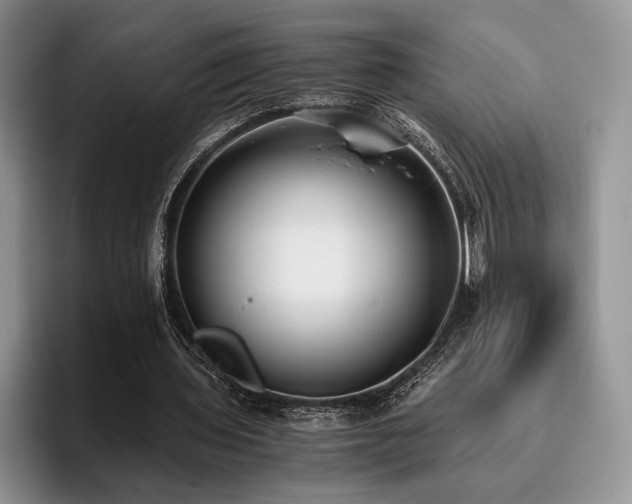 X0000096140435200801181136