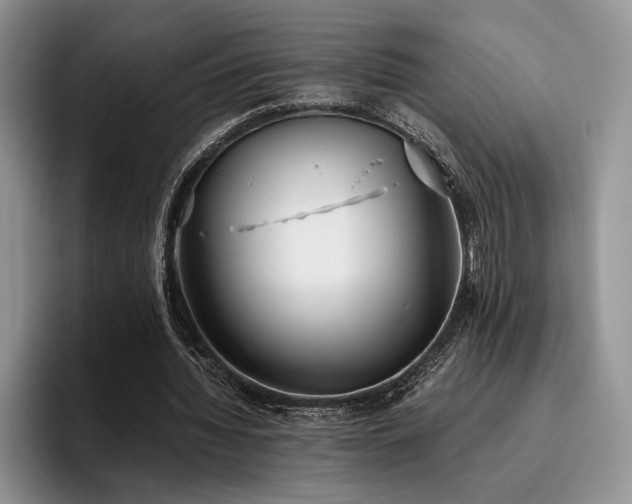 X0000096140436200801181136
