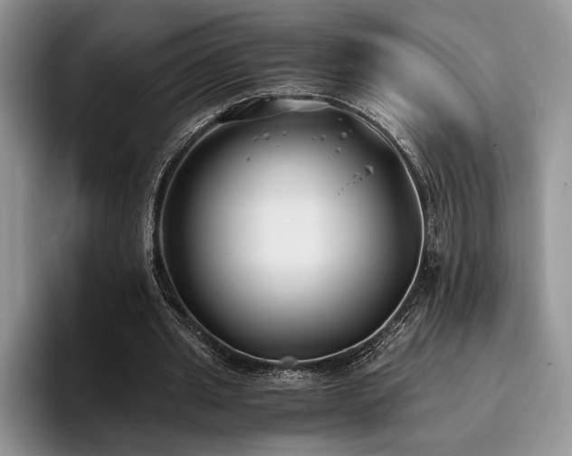 X0000096140437200801181136