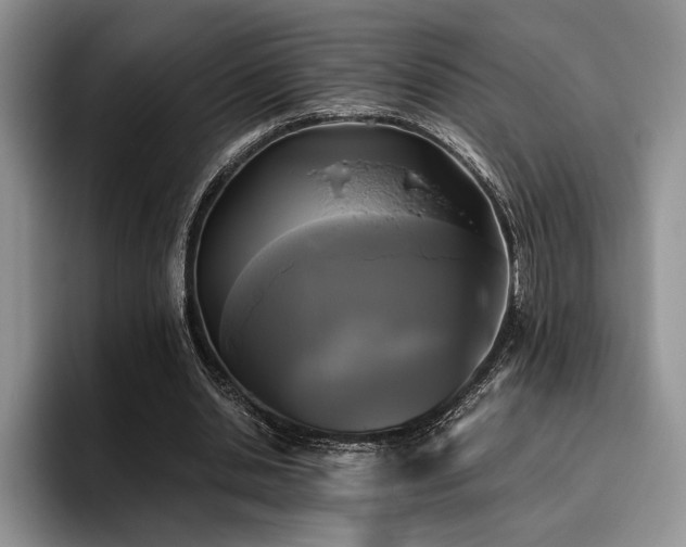 X0000096140438200801181136