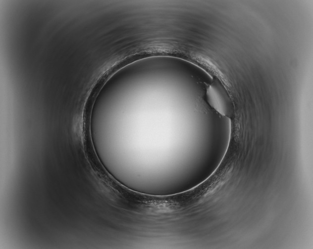 X0000096140439200801181136