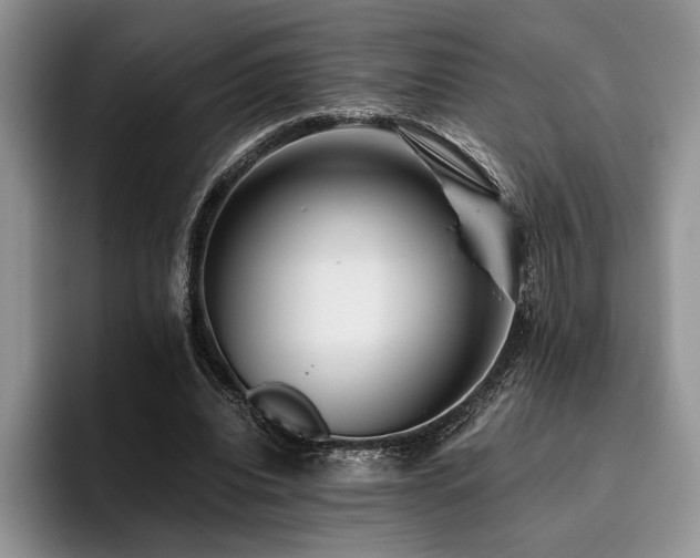 X0000096140440200801181136