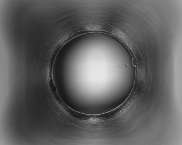 X0000096140441200801181136