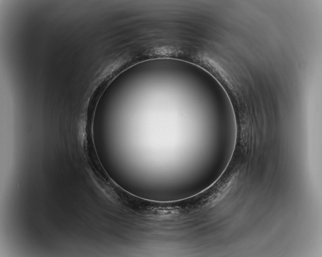 X0000096140443200801181136
