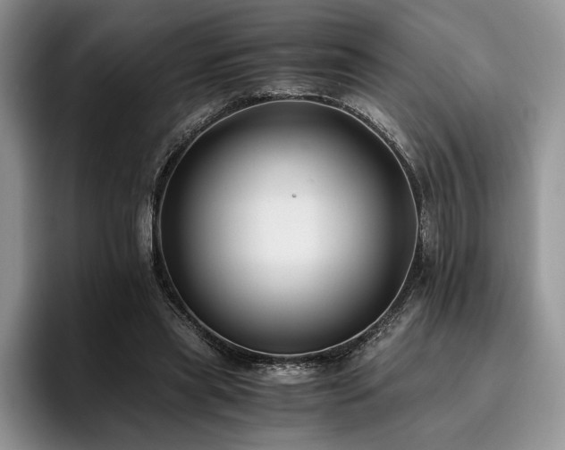 X0000096140445200801181136