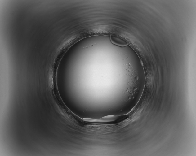 X0000096140446200801181136