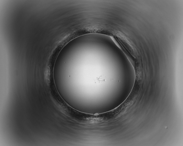 X0000096140448200801181136
