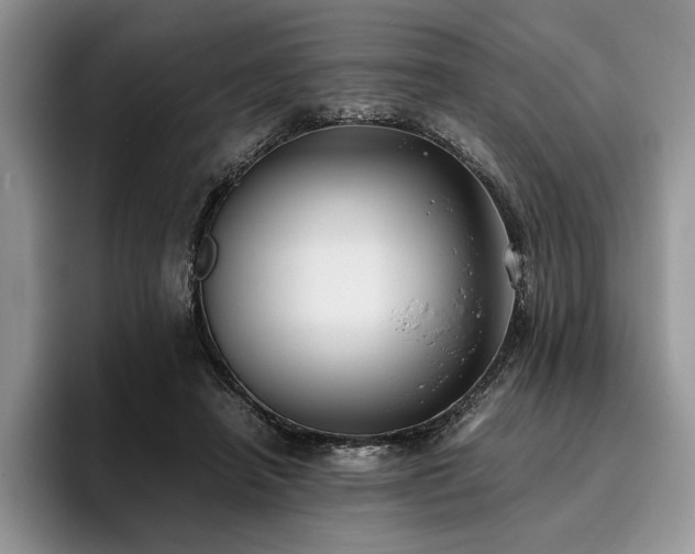 X0000096140450200801181136