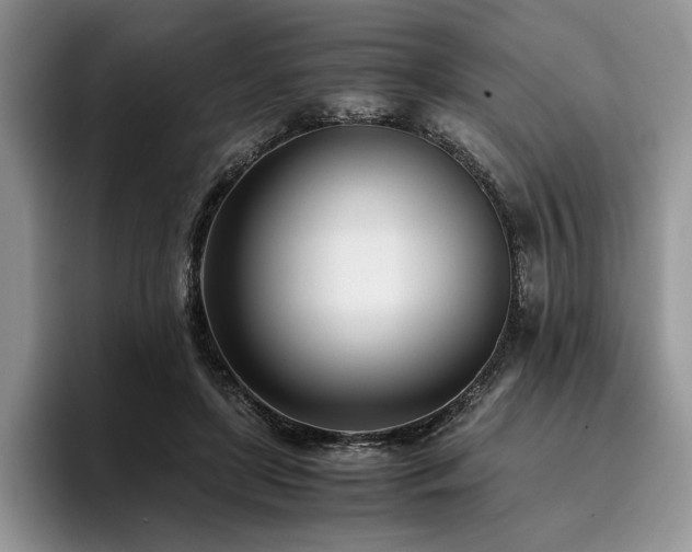 X0000096140451200801181136