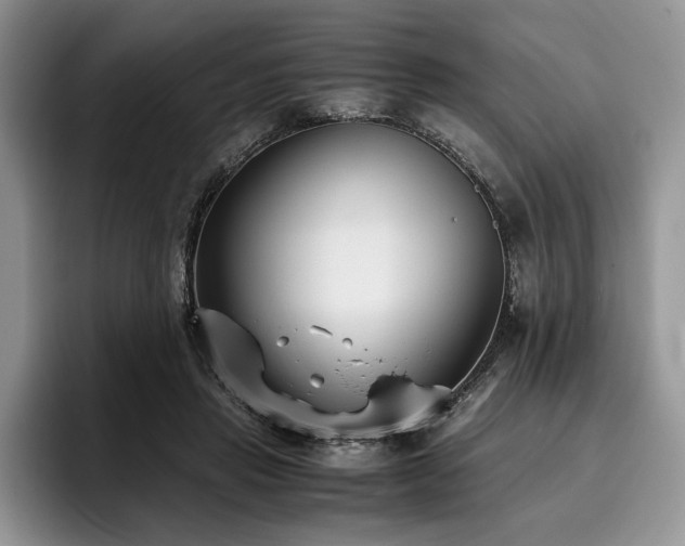 X0000096140453200801181136