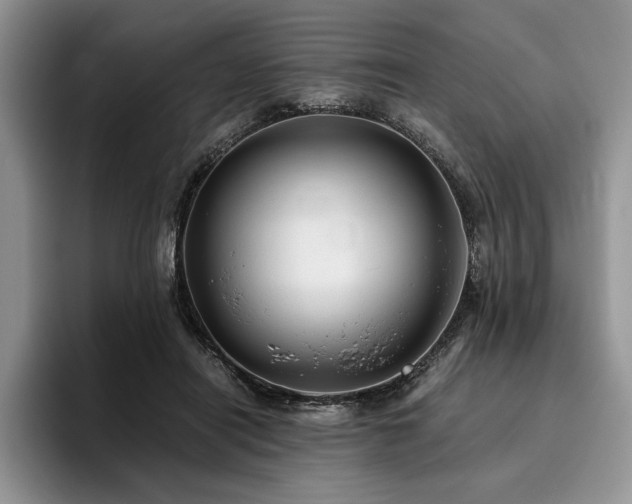 X0000096140454200801181136