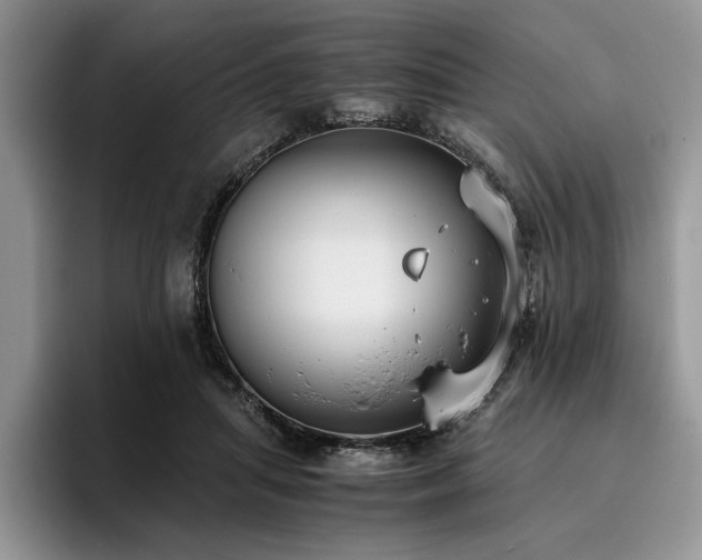X0000096140455200801181136