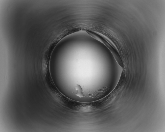 X0000096140456200801181136