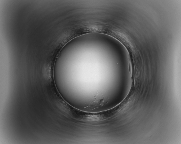 X0000096140457200801181136