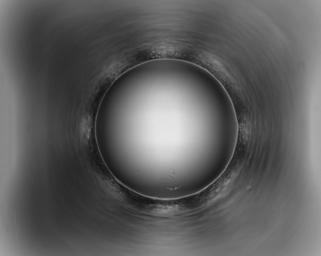 X0000096140458200801181136