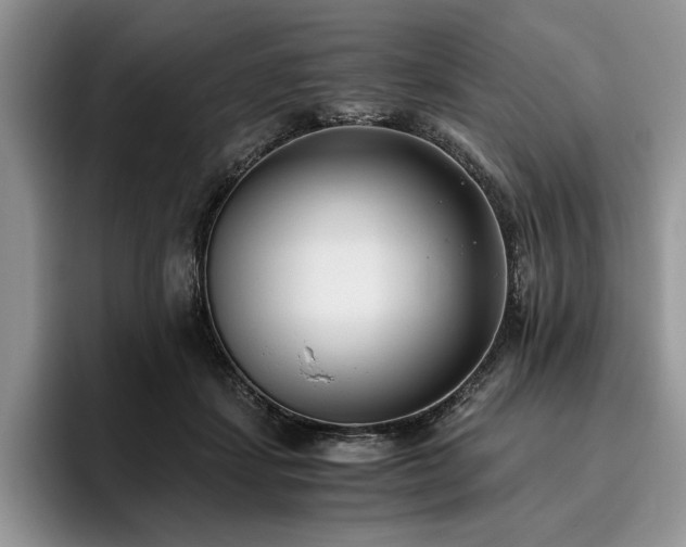 X0000096140459200801181136