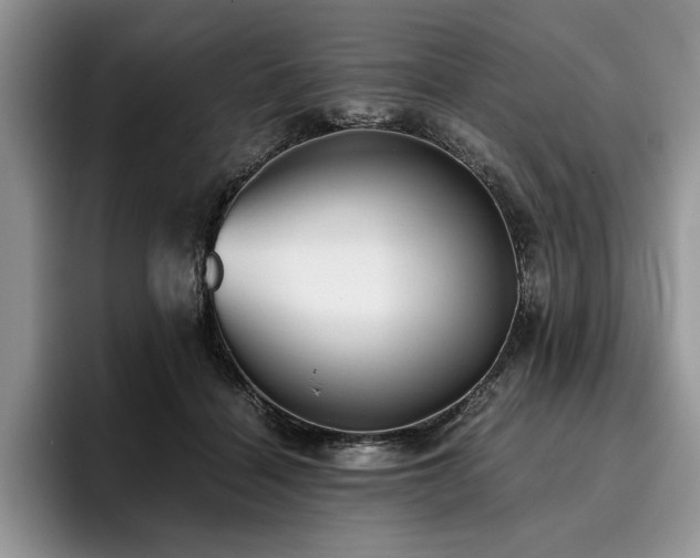 X0000096140460200801181136