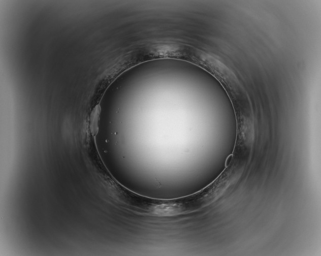 X0000096140461200801181136