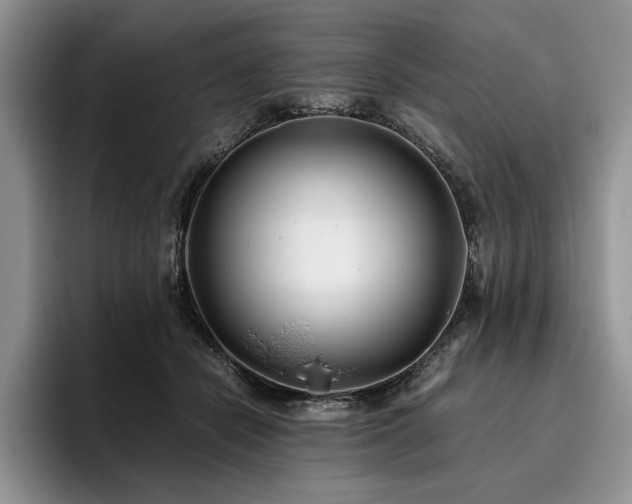 X0000096140462200801181136