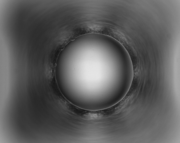 X0000096140464200801181136