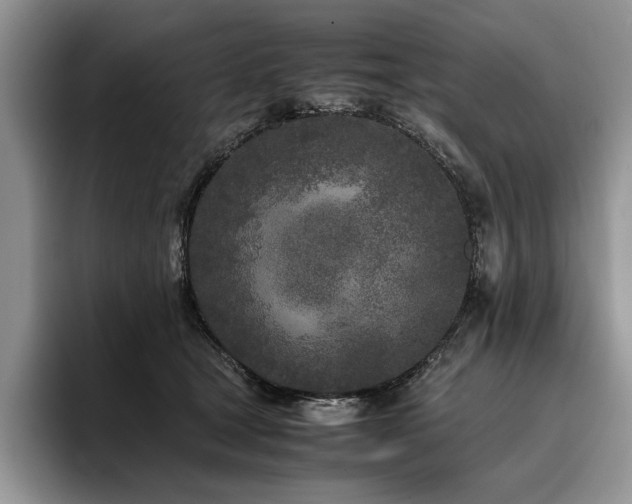 X0000096140465200801181136