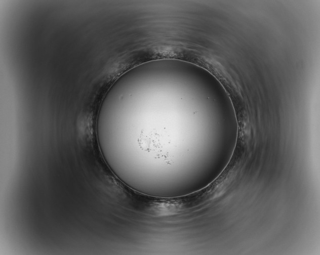 X0000096140466200801181136