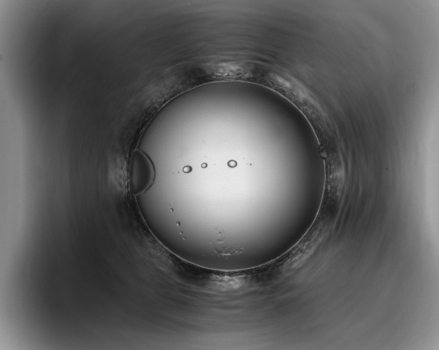 X0000096140469200801181136