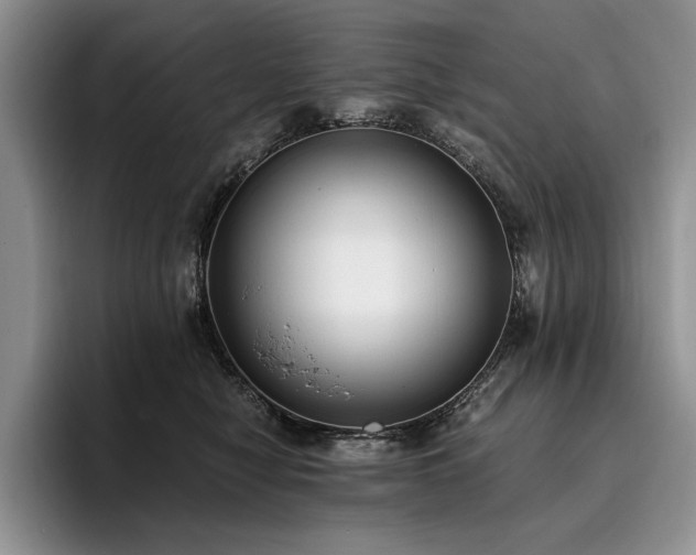 X0000096140470200801181136