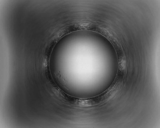X0000096140472200801181136