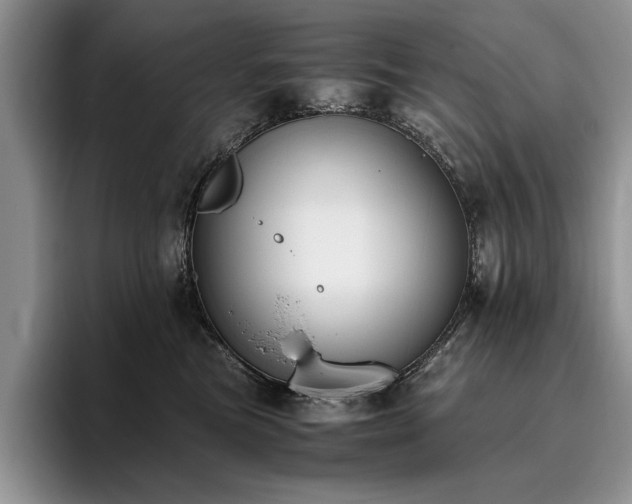 X0000096140473200801181136