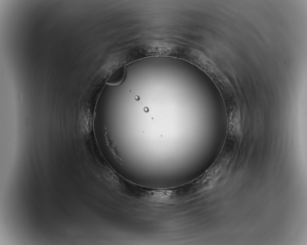 X0000096140474200801181136