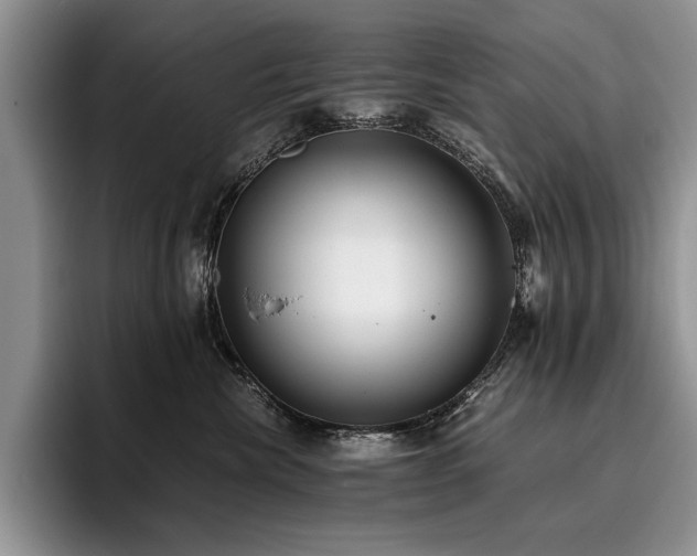 X0000096140476200801181136