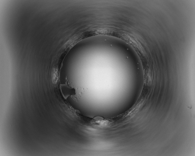 X0000096140478200801181136