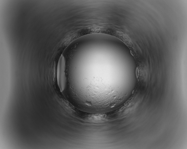 X0000096140479200801181136