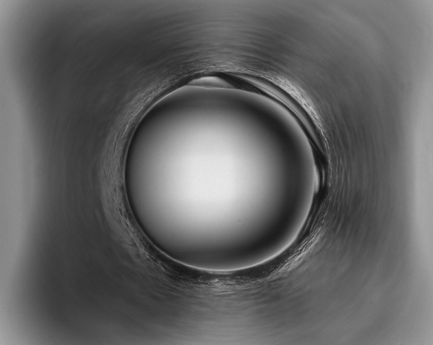 X0000096140481200801181136